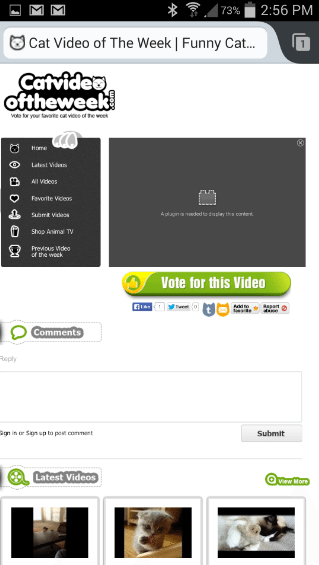 Screenshot-flashplayererror