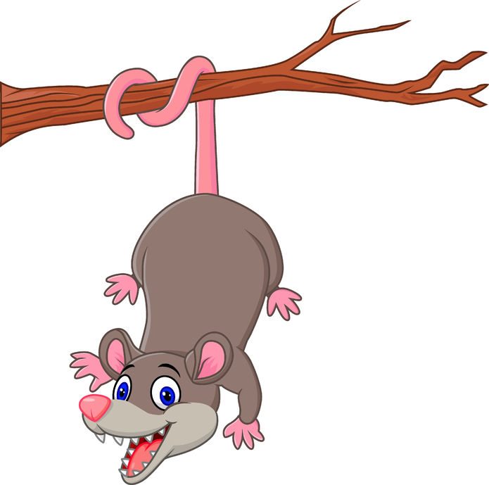 Google possum local searches