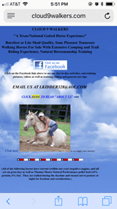 non mobile-friendly website