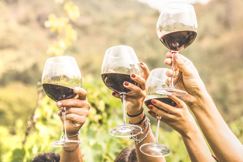 12 of the Best Winery Website Designs