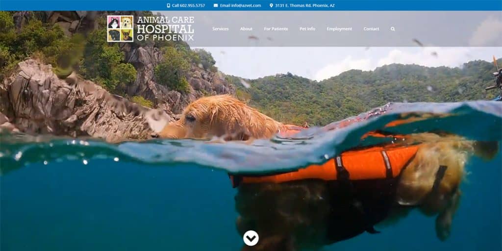 animal care hospital of phoenix website design screenshot