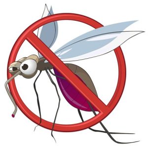 Illustration of a cartoon mosquito
