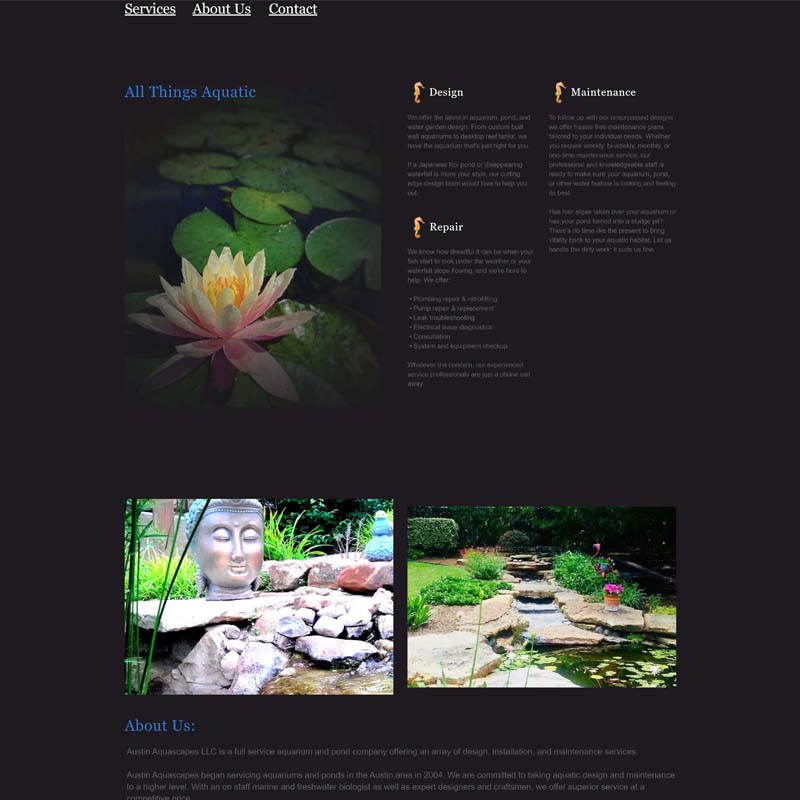 Austin Aquascapes Before